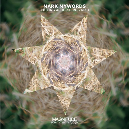 Mark Mywords - Looking Ahhh _ Birds Nest [MGN110]